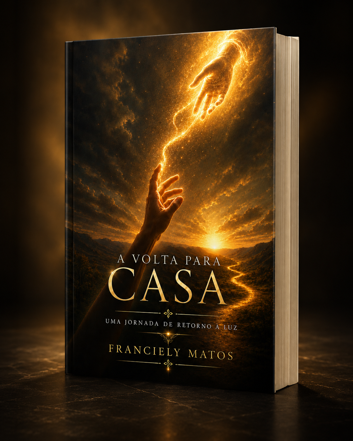 Livro A Volta para Casa